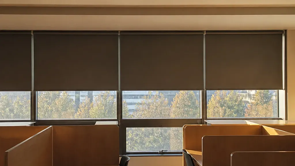 암막블라인드가 필요한 상황 예시